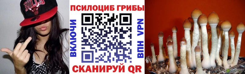 Псилоцибиновые грибы Cubensis  дарнет шоп  Константиновск 